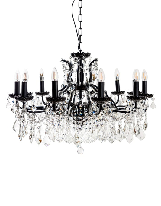 (PRE-ORDER ONLY) Large 12 Branch, Matt Black, Shallow Chandelier