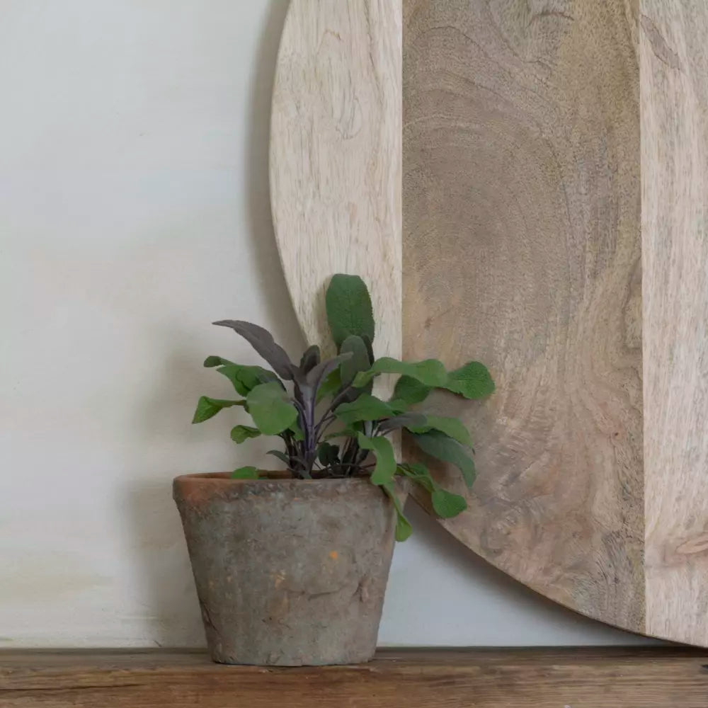 Extra Large Mango Serving Board with Feet